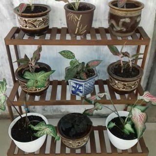 Rak pot  bunga 3 tingkat bahan kayu  ulin  Murah Shopee 