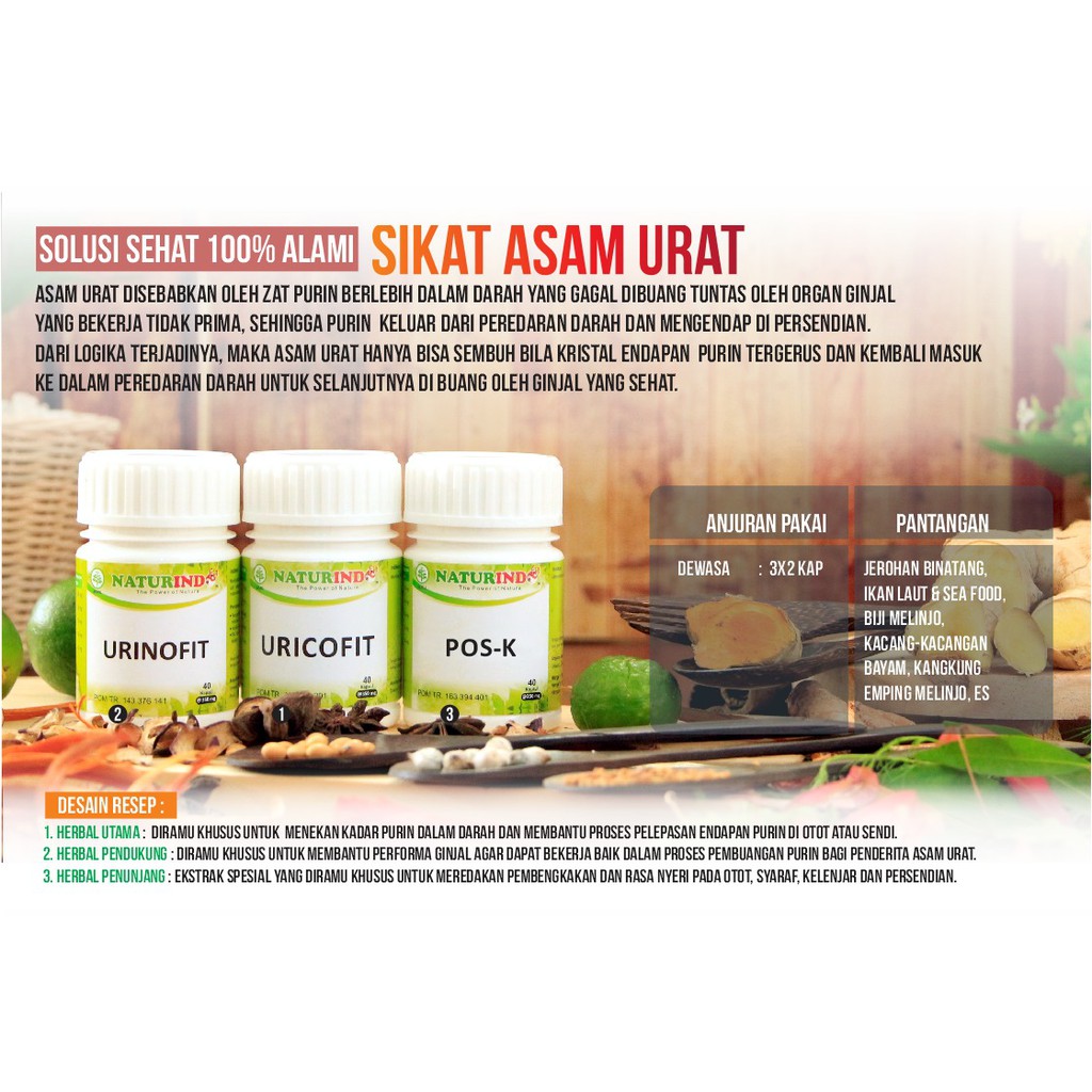 Cara Sehat Sikat Asam Urat 100 Alami Shopee Indonesia