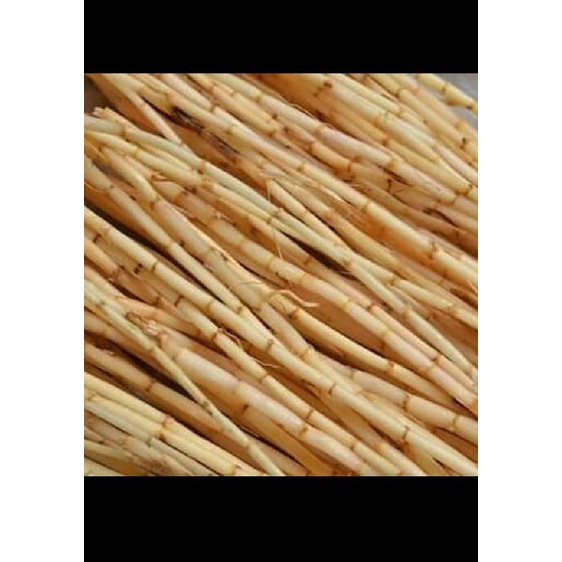 

(50gr)akar alang-alang segar.memperbaiki fungsi kerja ginjal,herbal batu ginjal.herbal panas dalam