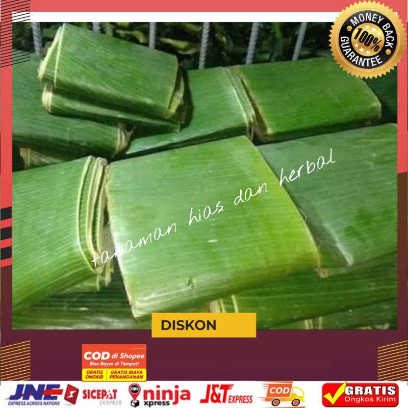 

Daun pisang Langka Terlaris Per1kg