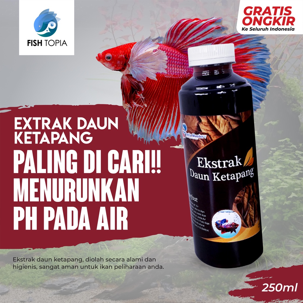 Jual Ekstrak Daun Ketapang Hitam Pekat Perawatan Ikan Cupang Ml