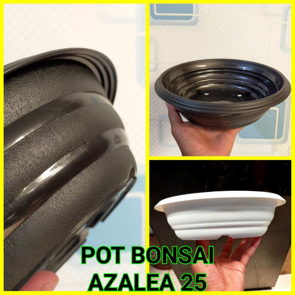 Pot Bonsai Azalea 25 Cm Pot Bonsai Tawon Ceper Plastik Utk Bonsai Kelapa Bkn Pot Bonsai Keramik Mame