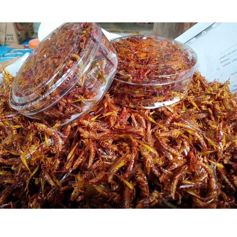 

Produk Terbaru / UnU BELALANG GORENG 25rb an /Trend@terkini