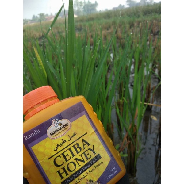 

Madu Randu Full Nektar Ar raihan Honey 500gr