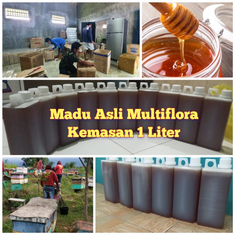 

Madu Murni Madu Asli 1,4 Kg /1 Liter TERMURAH dan BISA DIJUAL LAGI