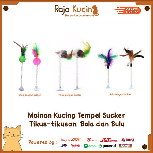 Mainan kucing tikus-tikusan dan bulu ayam sucker