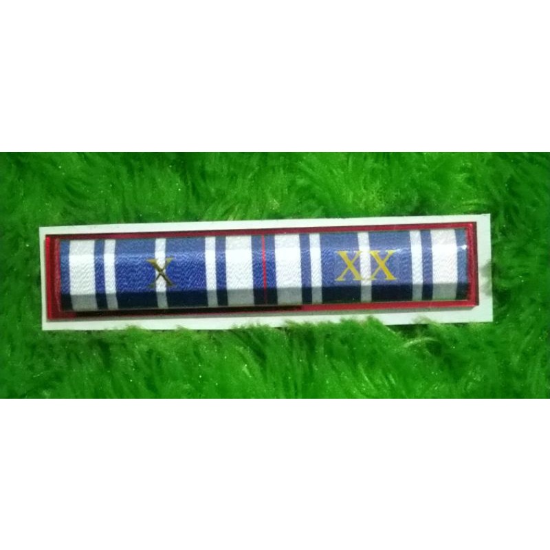 PITA JASA TANDA HARIAN SATYA LENCANA 10 dan 20 TAHUN ASN