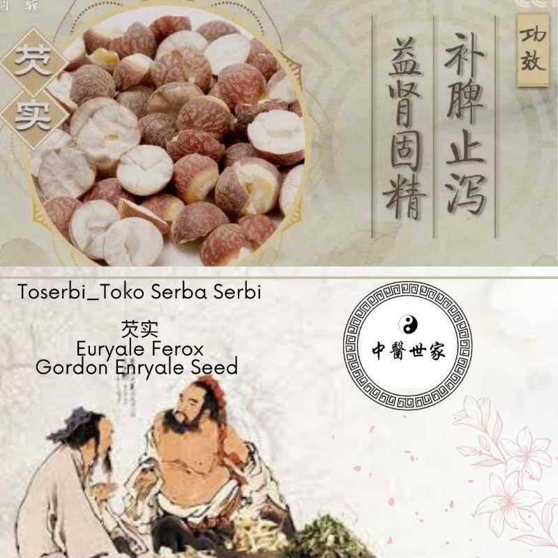 

50gr 芡实 qian shi / euryale ferox / fox nut / Gordon Enryale Seed / Seed of Gordon Euryale