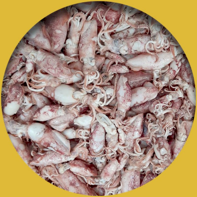 

Cumi Asin Idaman Mertua