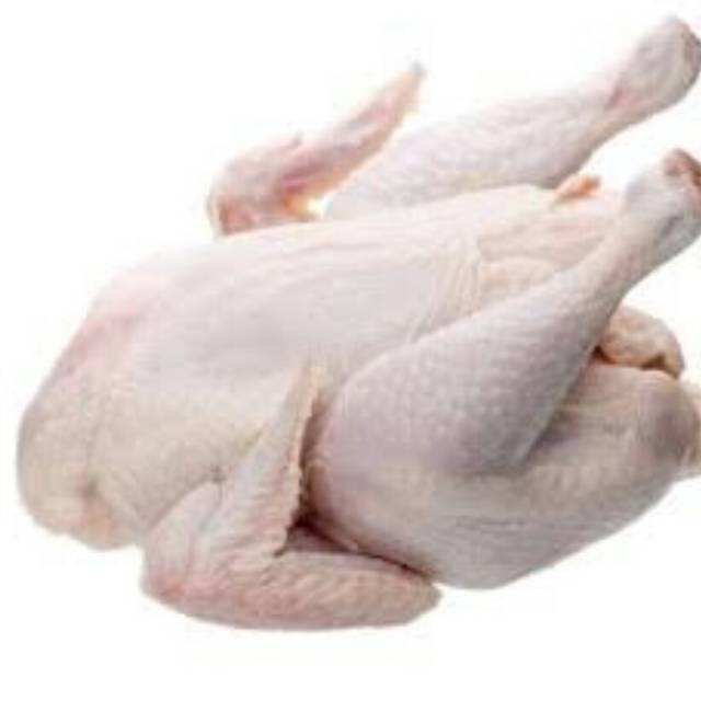 

AYAM POTONG BROILER 1KG