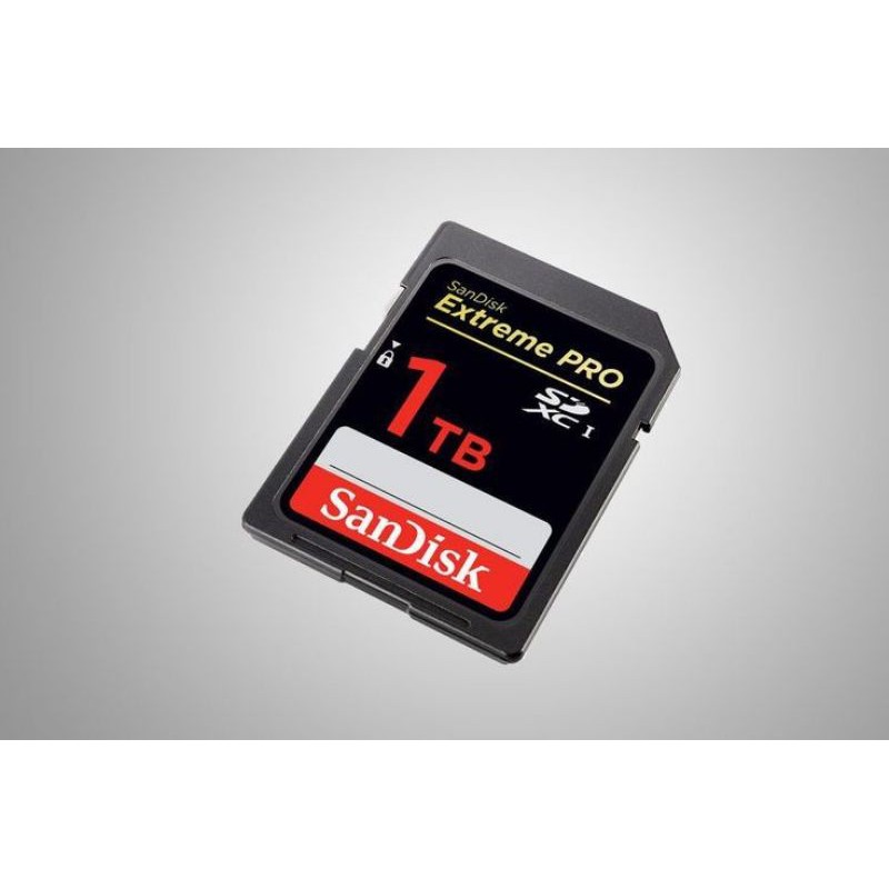 Sandisk 1TB