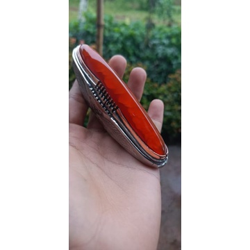 pandan merah rudal sisik betok