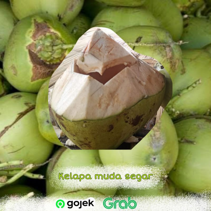 kelapa muda segar