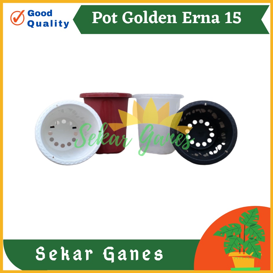 Sekarganes Pot GE15 Golden Erna 15 Putih Bening Transparan Hitam Merah Bata Coklat Terracotta Garden Of Love Mirip Pot Yogap Ypt 10 13 15 Putih Merah Bata Transparan Pot Yogap 17 18 19 Pot Yogap Murah Pot Bunga Tinggi Pirus Tegak Bagus Tebal