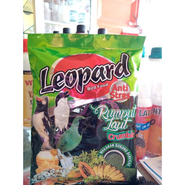 

Leopard Rumput Laut Crumble