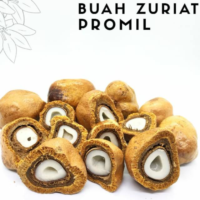 

Buah Zuriat mesir 1kg