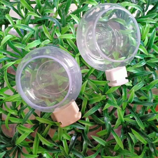 Cepuk wadah pakan burung Raihan