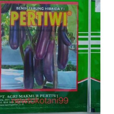 ☼ Benih bibit terong ungu hibrida PERTIWI F1 terung panjang 5 gram ✾