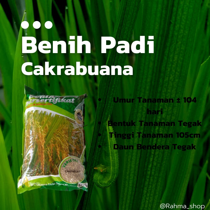 Benih Padi Cakrabuana Agritan Premium