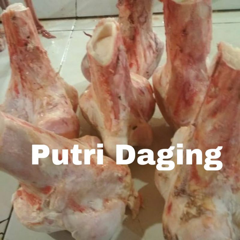 

Tulang Sumsum sapi Bagian Paha Perbatang