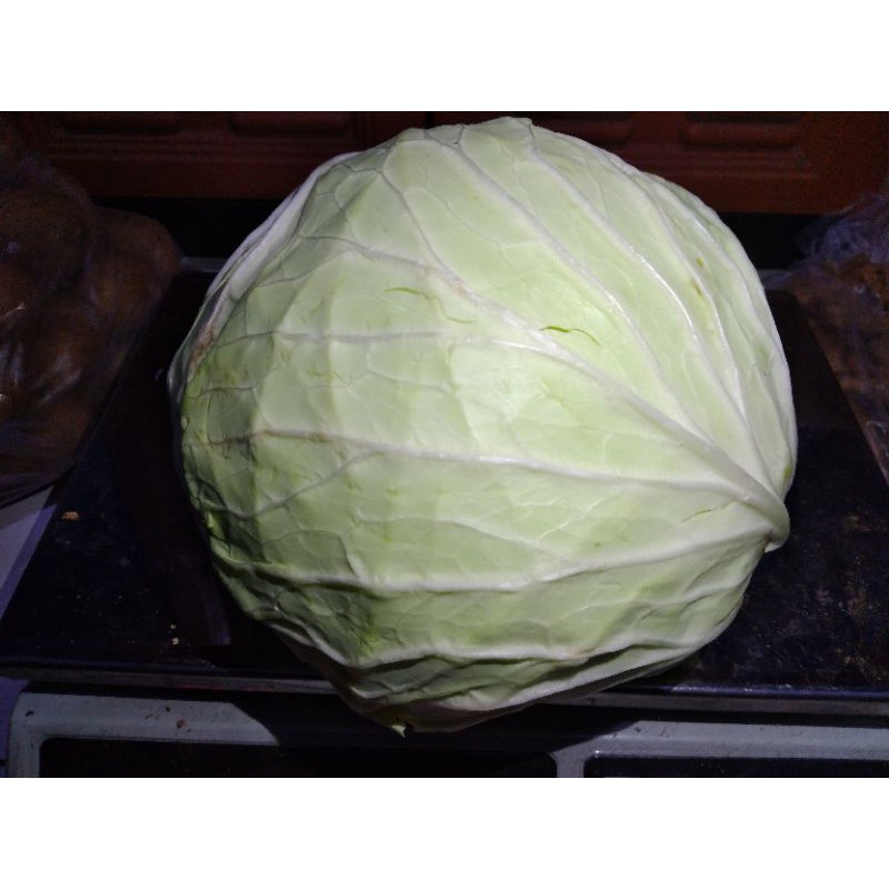 Kol / kubis 1kg