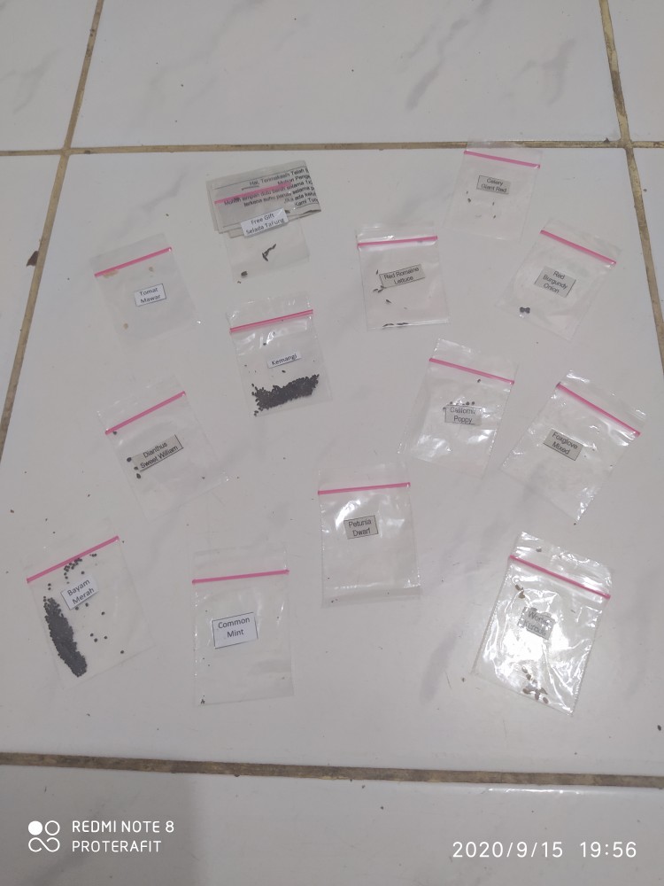 Bu1/5 - Benih Biji Bibit Unggul Kemasan Seribu Ecer Repack Bunga California Poppy Orange