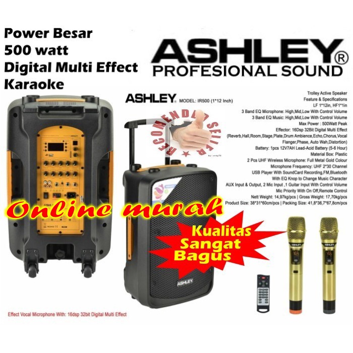 speaker ashley ir500 500 watt multi effecks karaoke ASHLEY IR500 12''