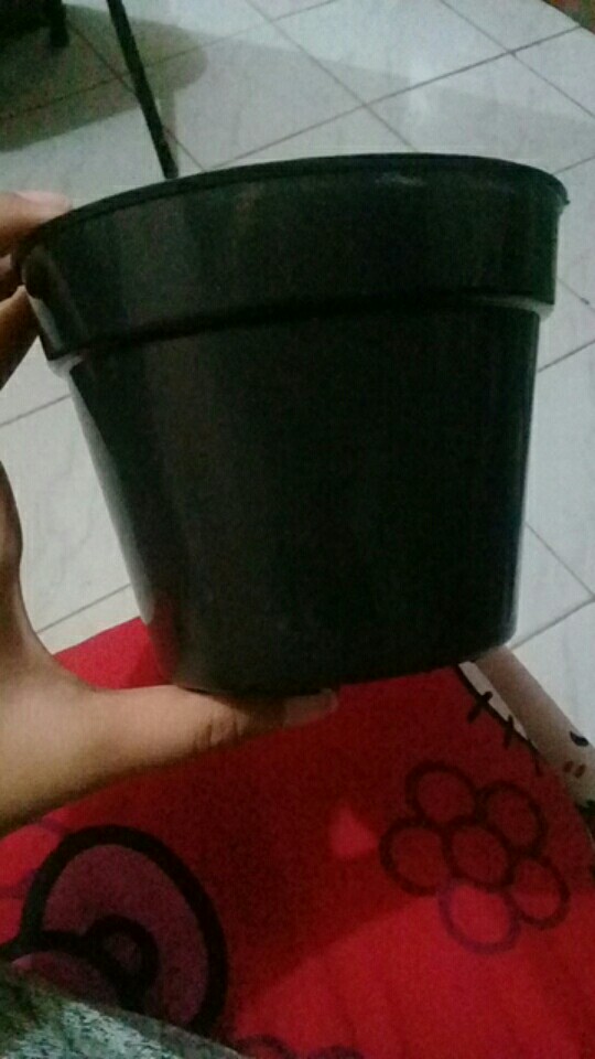 12 Cm Pot Plastik Hitam Gmp