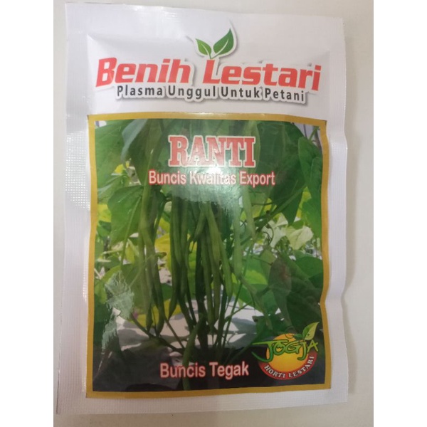 Benih Buncis Tegak Buncis Non rambatan Bumcis Ranti100gr