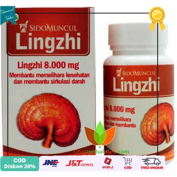 

◾COD◾ KAPSUL JAMUR LINGZHI SIDO MUNCUL, DARAH TINGGI, SIRKULASI DARAH
