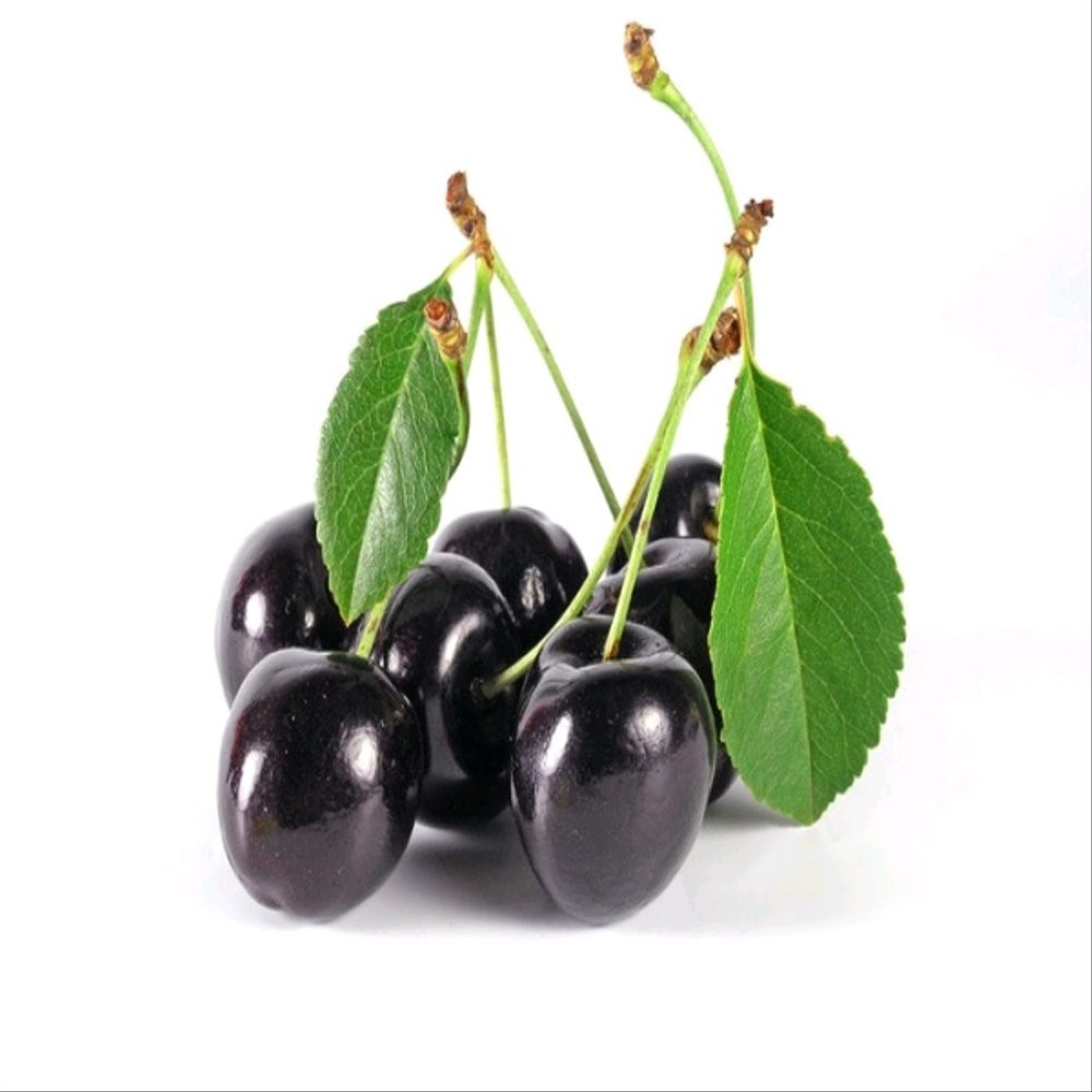 Bibit black cherry - cherry Hitam import