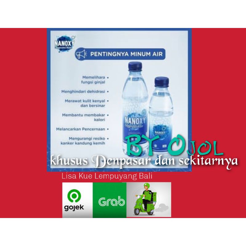 Nanoxy Oxygenated Water Pet 300ml Lisa kue lempuyang