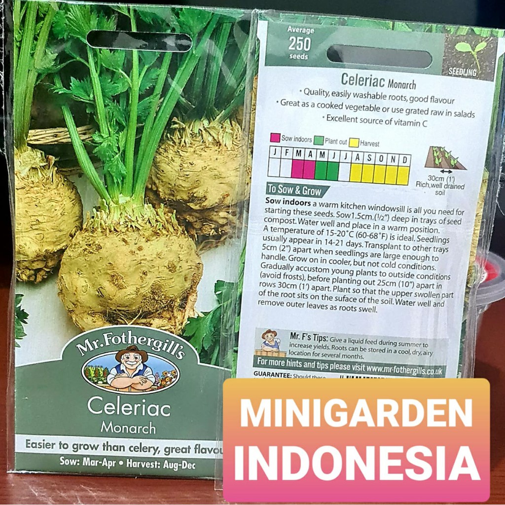 Benih CELERIAC MONARCH PACK 250 BIJI F1 Mr. Fothergills Bibit tanaman Sayuran akar seledri herbal