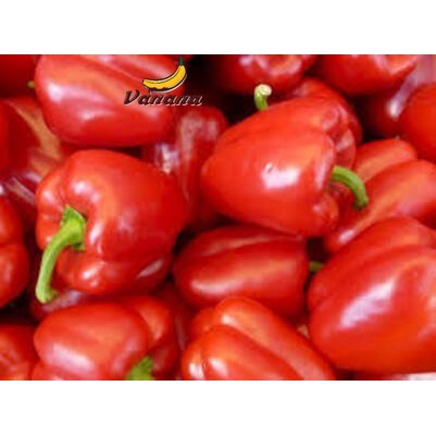 

Paprika Merah 1/2kg (500g)