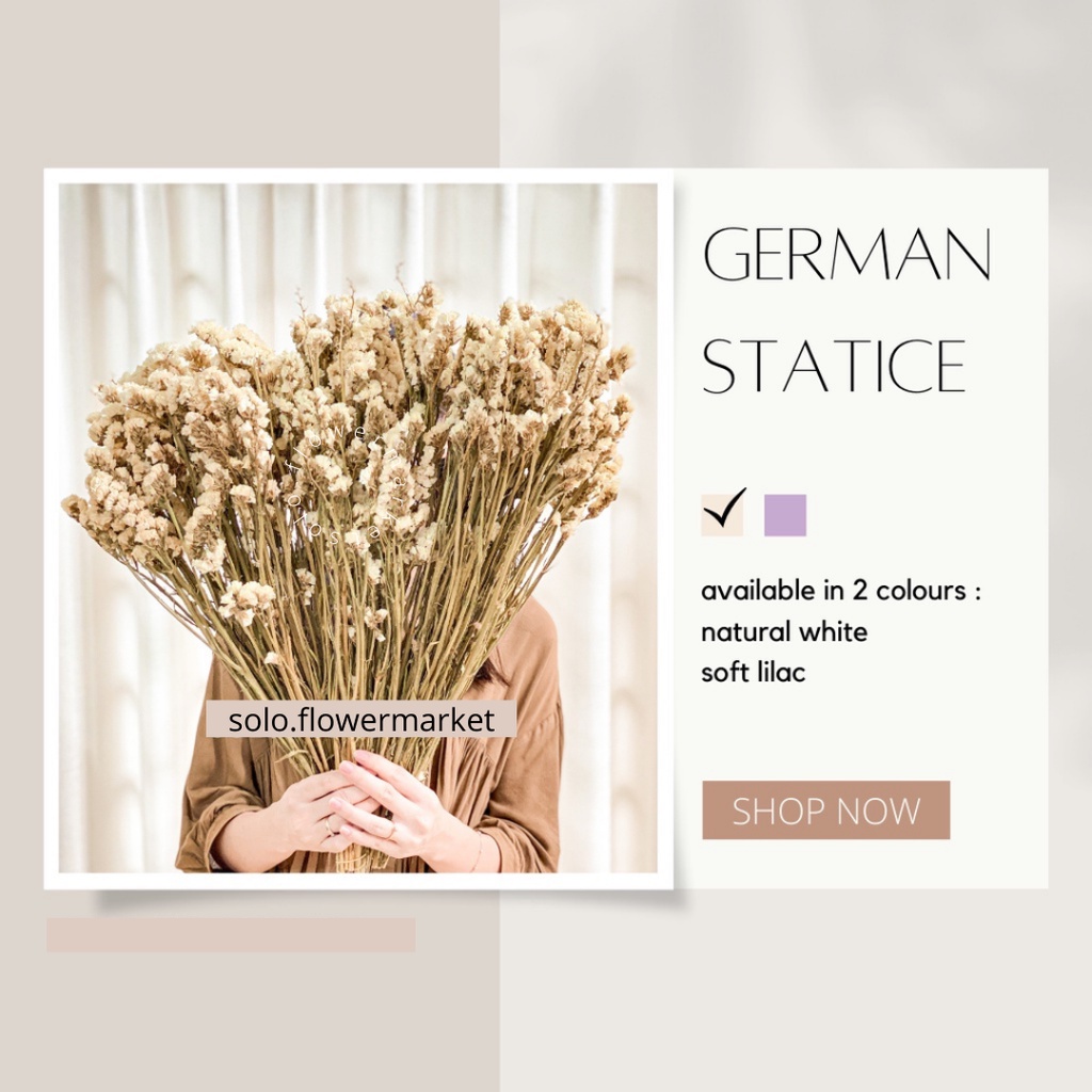 GERMAN STATICE Dried Flowers bunga Kering asli white Cream dekor kantor Hiasan Ruangan Pelaminan RUS