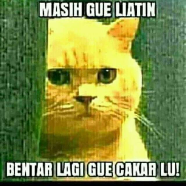 sucirahmadani0909