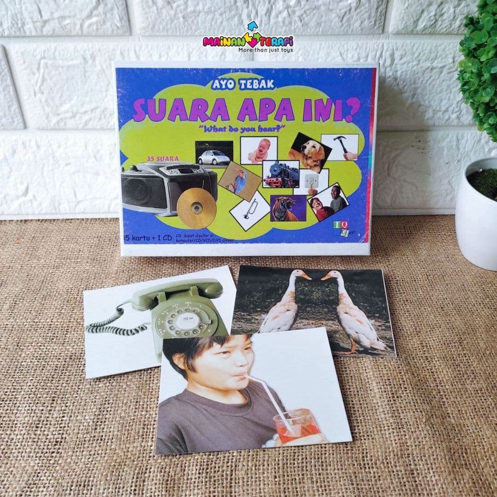 Mainan Terapi IQ DEV Kartu Tebak Suara Apa Ini? Kartu Terapi Wicara ABK Flash Card Kartu Bicara