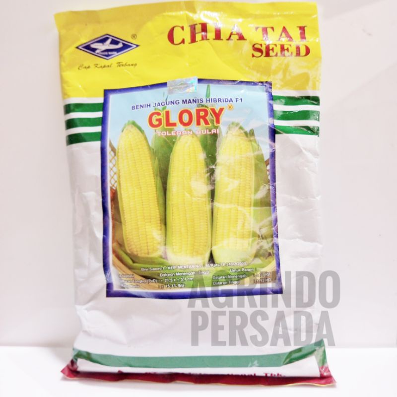 Benih Jagung Manis Glory 500 gram Cap Kapal Terbang