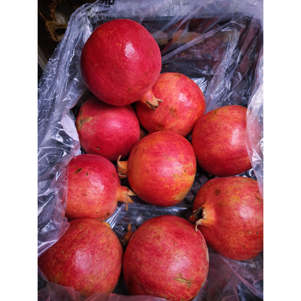 

Buah Delima Grosir