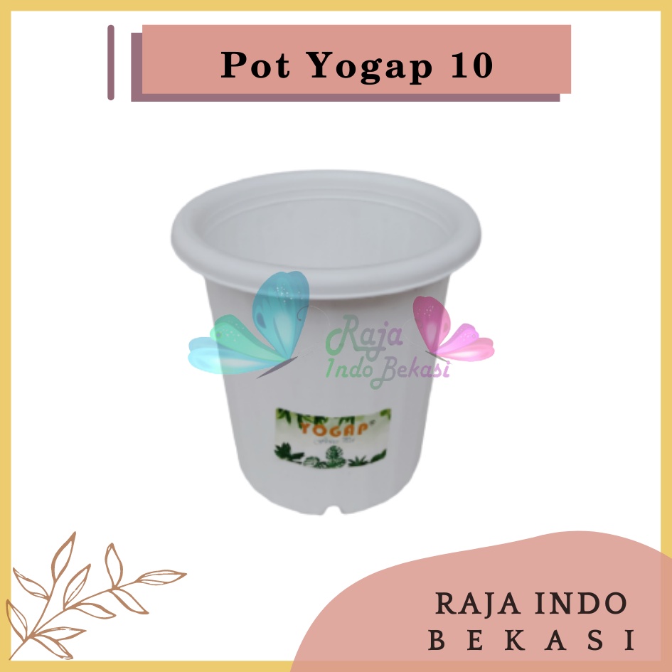 Pot Yogap 10 Putih Tinggi Tebal Berkualitas Pot Yogap 10 13 15 17 18 Murah Grosir Pot Yogap 10 Putih