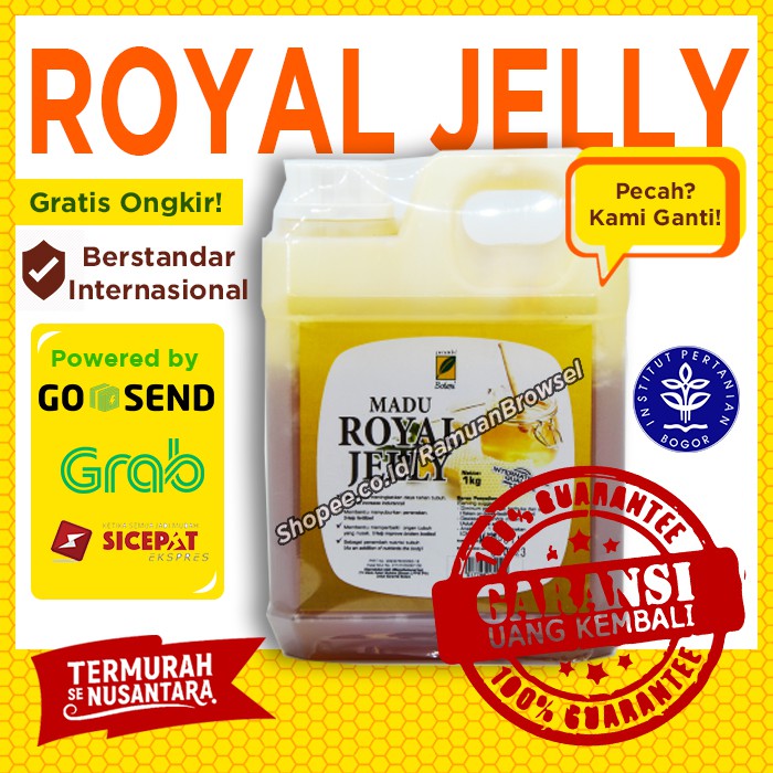 

Madu Royal Jelly 1kg Serambi Botani