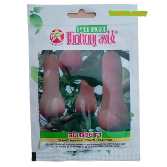 BENIH LABU MADU HIBRIDA BULDOG F1 BINTANG ASIA