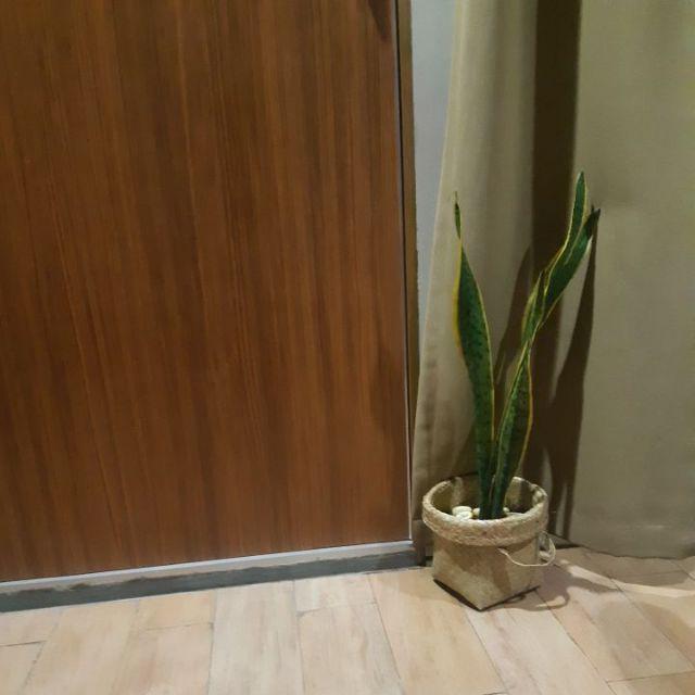 Keranjang Anyaman Purun D20cm