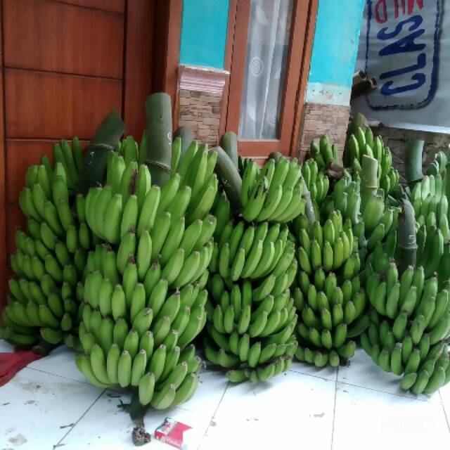 

Siap melayani partai besar&kecil ,,,,