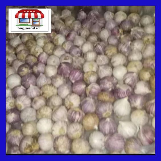 

R6Rey7- Bawang Putih Tunggal Lanang 1 Kg Jumbo Kualitas Pertamaxxx - Pertamaaxxx T8Rjur-