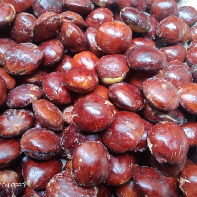 

Jengkol besar 500 gram