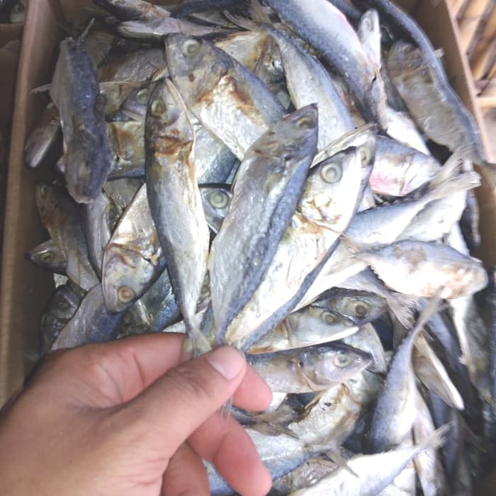 

IKAN ASIN KEMBUNG KECIL