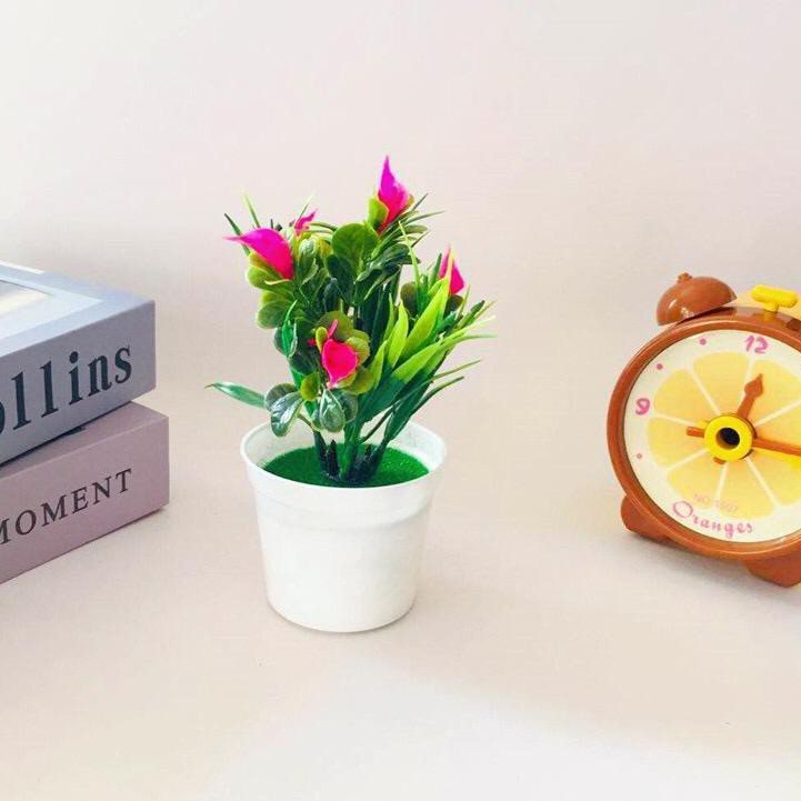 HOT SALE (tpq-491) OSM JKT 5026 Tanaman Hias Mini / Pot Bunga / Bunga Hias Plastik / Ornamen Tanam