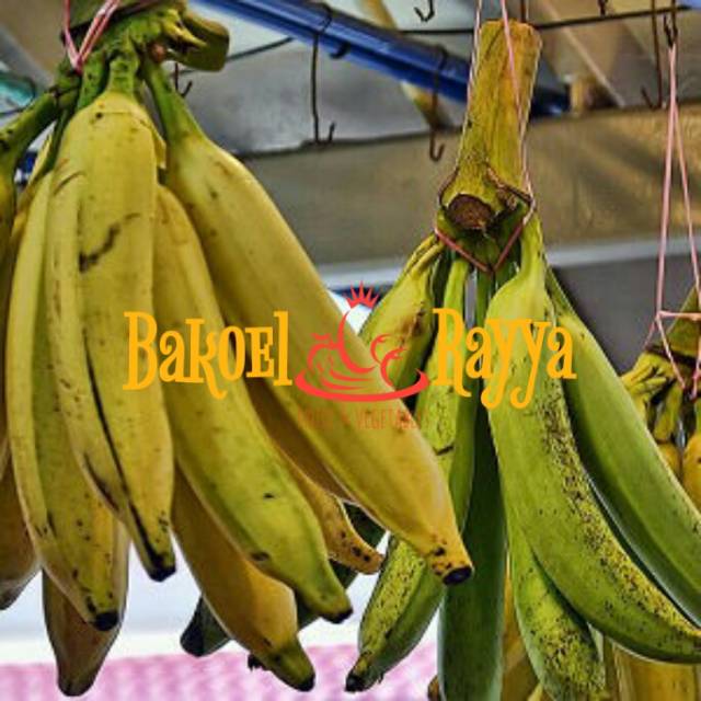 

Pisang tanduk