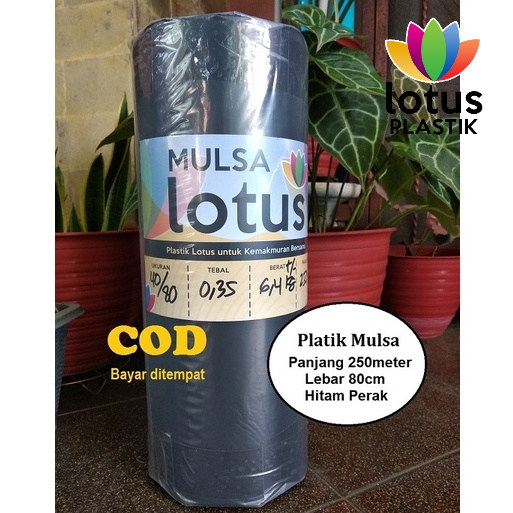 mulsa plastik mulsa hitam perak 1 rol roll Lebar 80 cm Panjang 250 meter pertanian tanaman eceran me